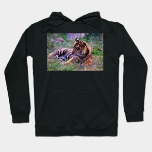 A Tiger in London Hoodie